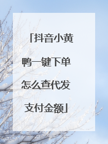 抖音小黄鸭一键下单怎么查代发支付金额