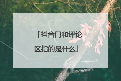 抖音门和评论区指的是什么