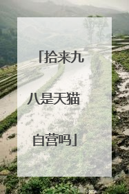拾来九八是天猫自营吗