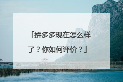 拼多多现在怎么样了？你如何评价？
