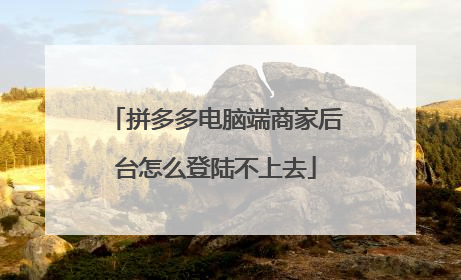 拼多多电脑端商家后台怎么登陆不上去