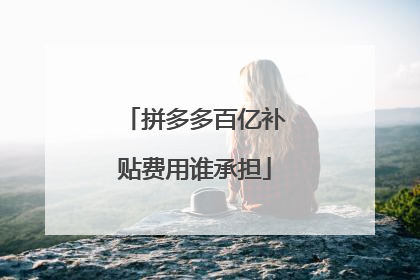 拼多多百亿补贴费用谁承担