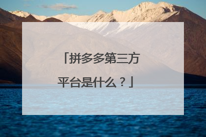 拼多多第三方平台是什么？