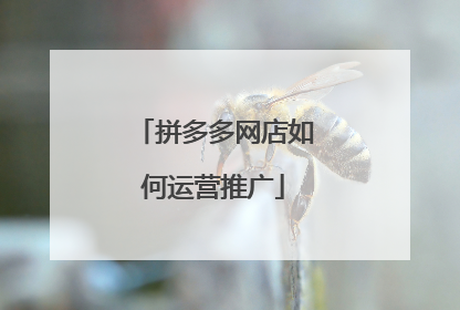 拼多多网店如何运营推广