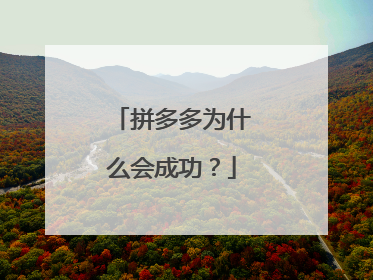 拼多多为什么会成功？