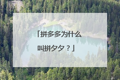 拼多多为什么叫拼夕夕?