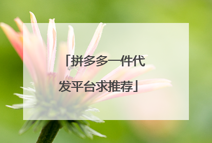 拼多多一件代发平台求推荐