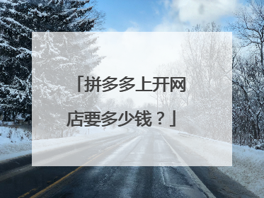 拼多多上开网店要多少钱?