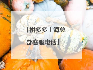 拼多多上海总部客服电话