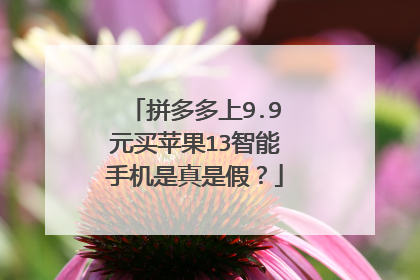 拼多多上9.9元买苹果13智能手机是真是假？