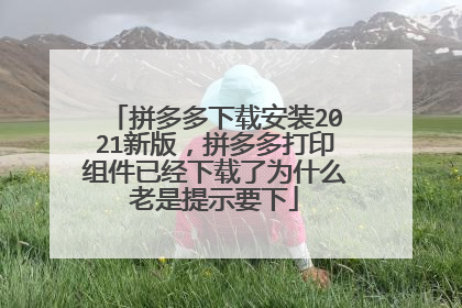 拼多多下载安装2021新版,拼多多打印组件已经下载了为什么老是提示要下