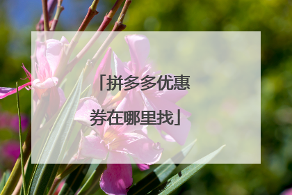 拼多多优惠券在哪里找