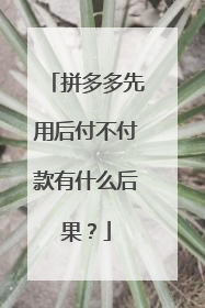 拼多多先用后付不付款有什么后果?