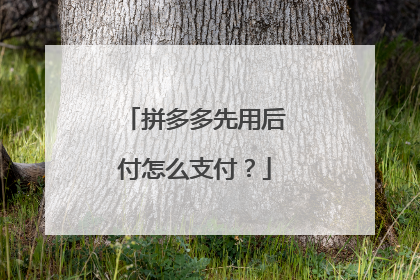 拼多多先用后付怎么支付?