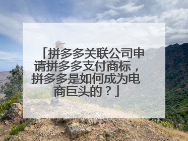 拼多多关联公司申请拼多多支付商标,拼多多是如何成为电商巨头的?