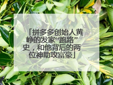 拼多多创始人黄峥的发家“跑路”史,和他背后的两位神助攻富豪