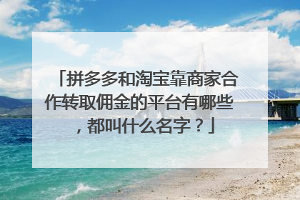 拼多多和淘宝靠商家合作转取佣金的平台有哪些，都叫什么名字？