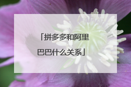 拼多多和阿里巴巴什么关系