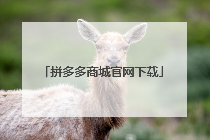 拼多多商城官网下载