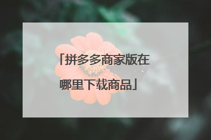 拼多多商家版在哪里下载商品
