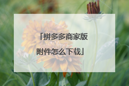 拼多多商家版附件怎么下载