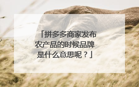 拼多多商家发布农产品的时候品牌是什么意思呢?
