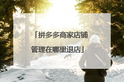 拼多多商家店铺管理在哪里退店