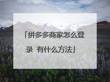 拼多多商家怎么登录 有什么方法