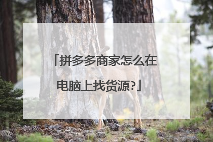 拼多多商家怎么在电脑上找货源?