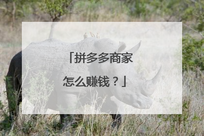 拼多多商家怎么赚钱?