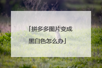 拼多多图片变成黑白色怎么办