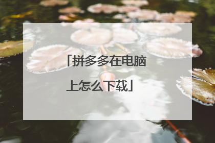 拼多多在电脑上怎么下载