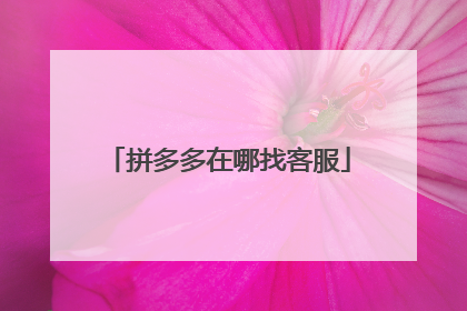 拼多多在哪找客服