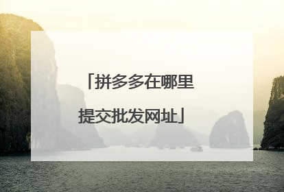 拼多多在哪里提交批发网址