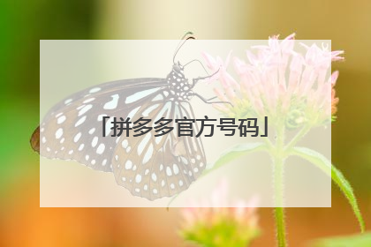 拼多多官网电话号码多少(多多买菜app官网电话号码)