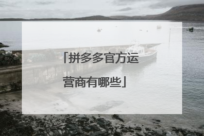 拼多多官方运营商有哪些