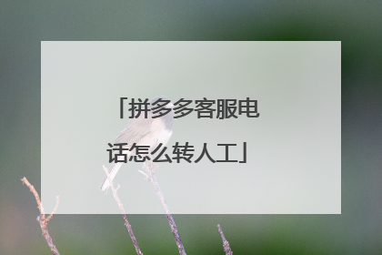 拼多多客服电话怎么转人工