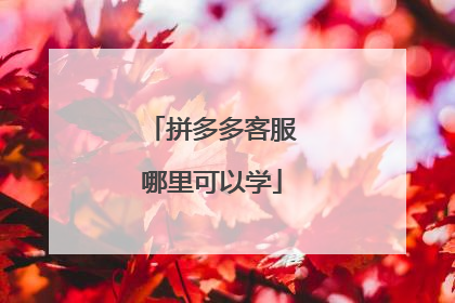 拼多多客服哪里可以学