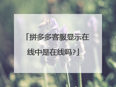 拼多多客服显示在线中是在线吗?