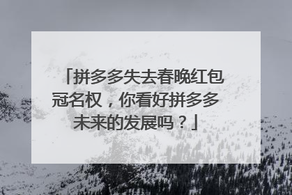 拼多多失去春晚红包冠名权,你看好拼多多未来的发展吗?