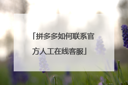 拼多多如何联系官方人工在线客服