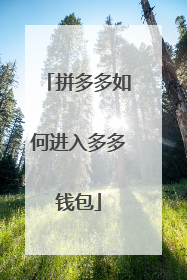 拼多多如何进入多多钱包