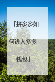 拼多多如何进入多多钱包