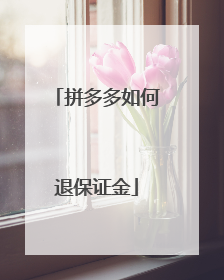 拼多多如何退保证金