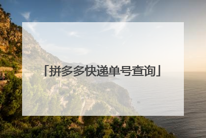 拼多多快递单号查询