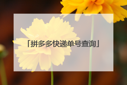 拼多多快递单号查询