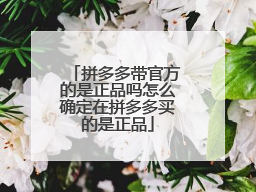 拼多多购物商城官网(拼多多app官网)