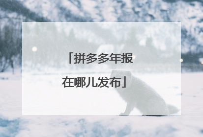 拼多多年报在哪儿发布