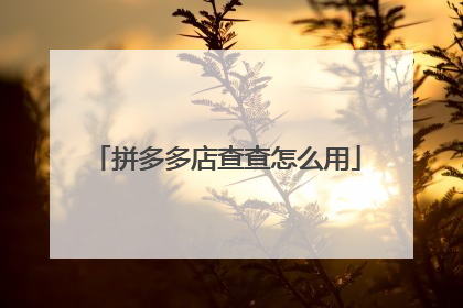 拼多多店查查怎么用