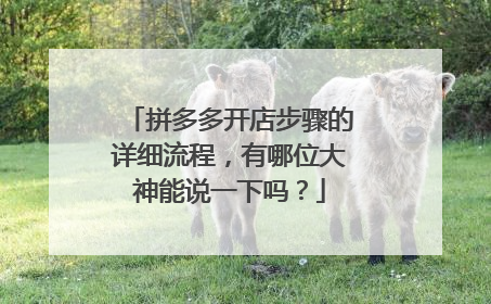 拼多多开店步骤的详细流程,有哪位大神能说一下吗?
